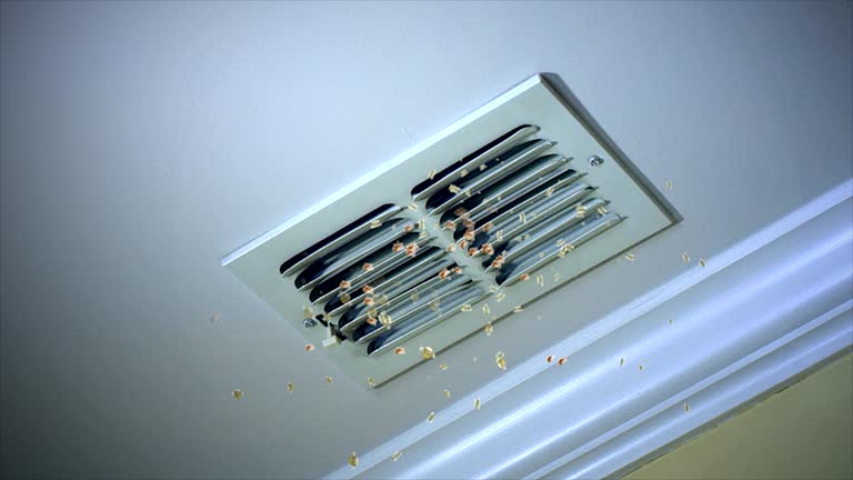 Best Air Duct Cleaning Near Me  in Montezuma, GA