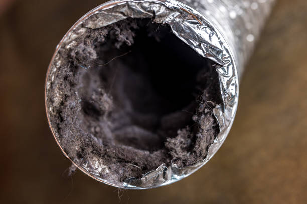 Best HVAC Duct Inspection Services  in Montezuma, GA